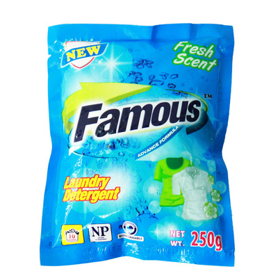 Washing Powder 250g